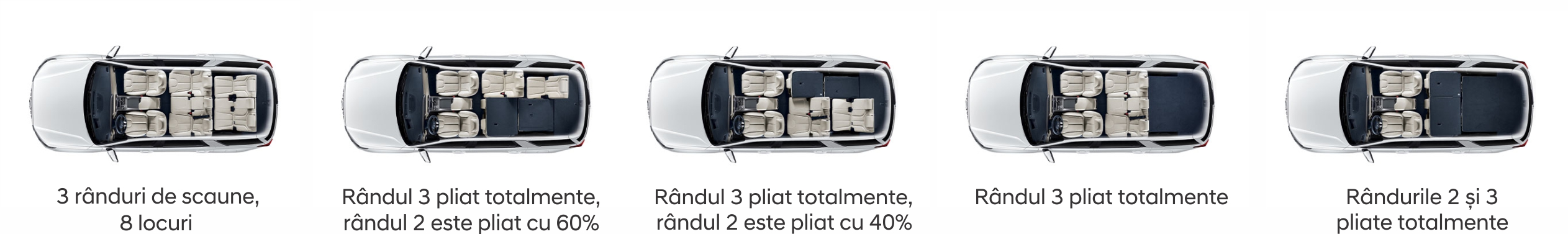 Palisade poate găzdui confortabil până la opt persoane, în funcție de configurație.